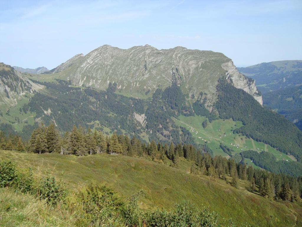 Ferienbauernhof Beer Villa Schoppernau Bagian luar foto