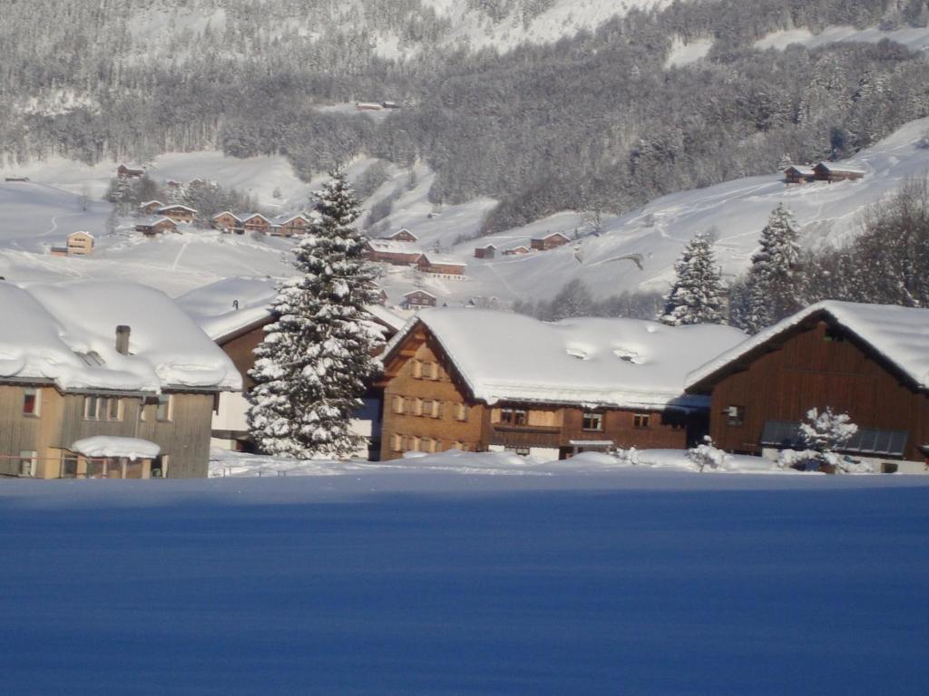 Ferienbauernhof Beer Villa Schoppernau Bagian luar foto